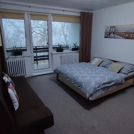 Apartman Jarka Bodice エクステリア 写真