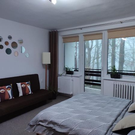 Apartman Jarka Bodice エクステリア 写真