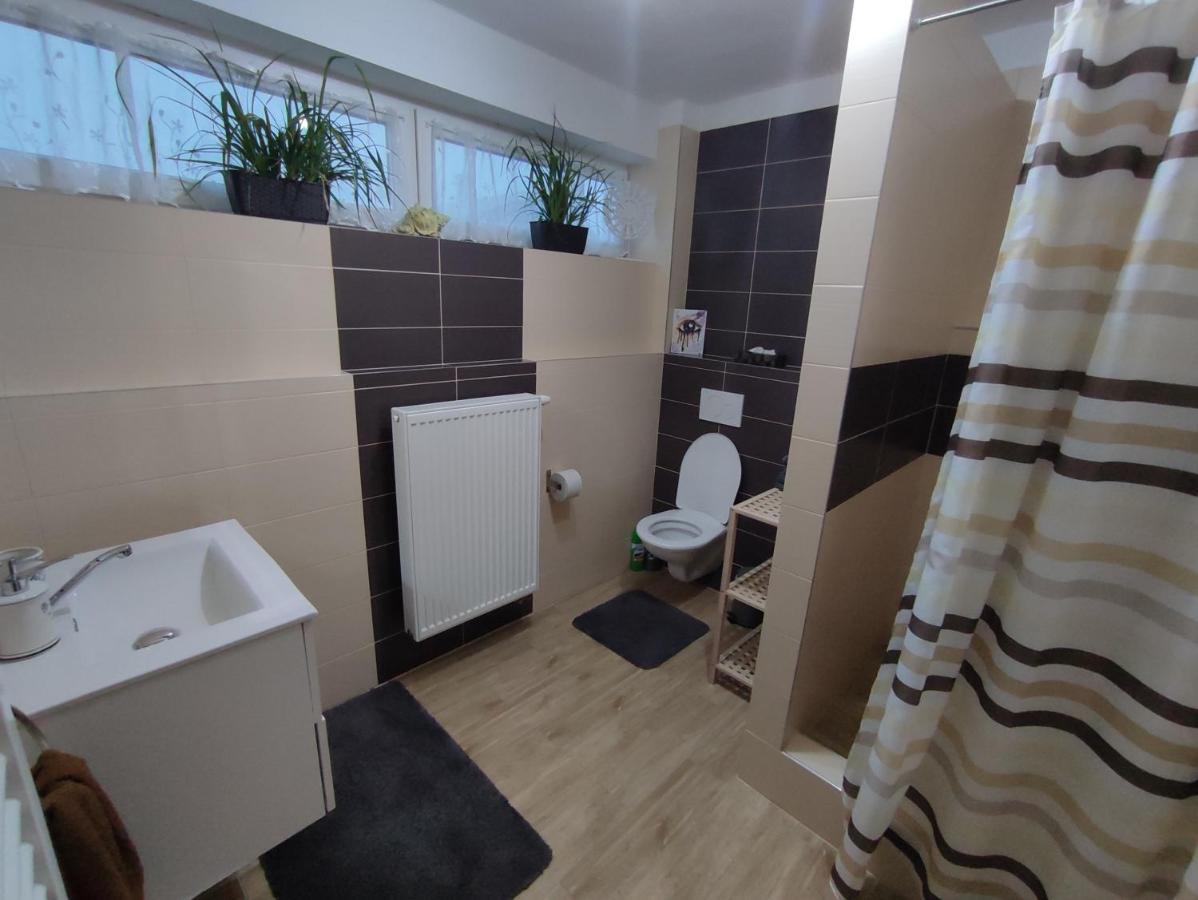 Apartman Jarka Bodice エクステリア 写真