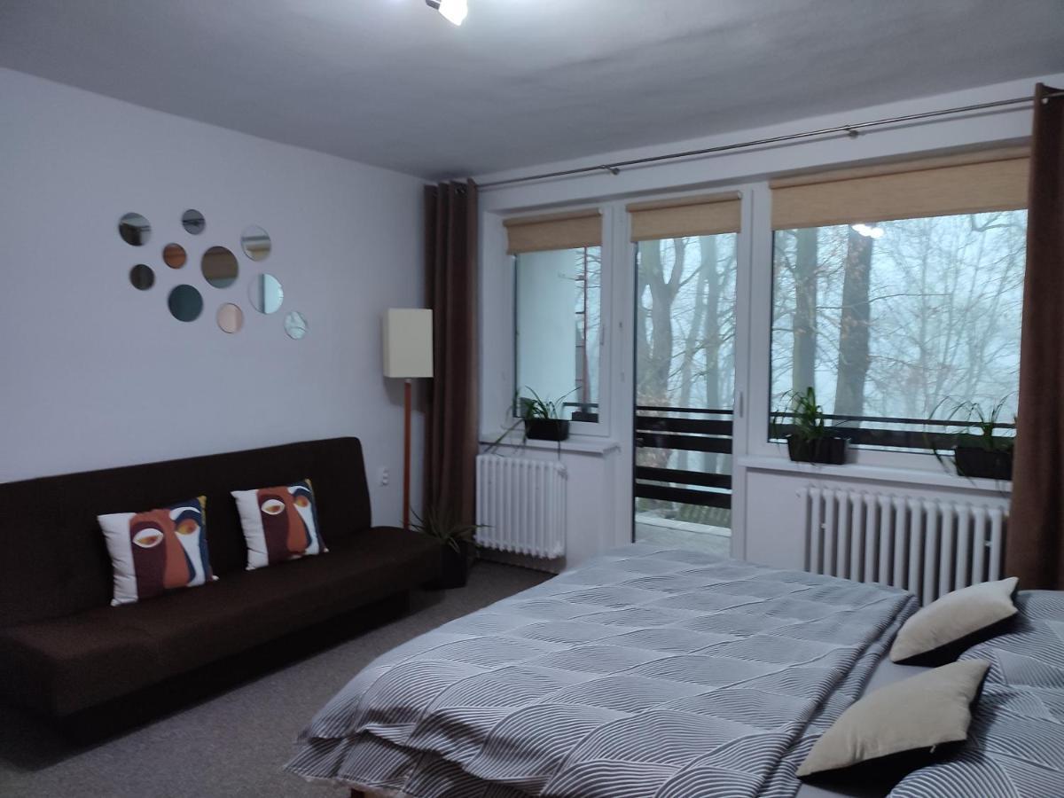 Apartman Jarka Bodice エクステリア 写真
