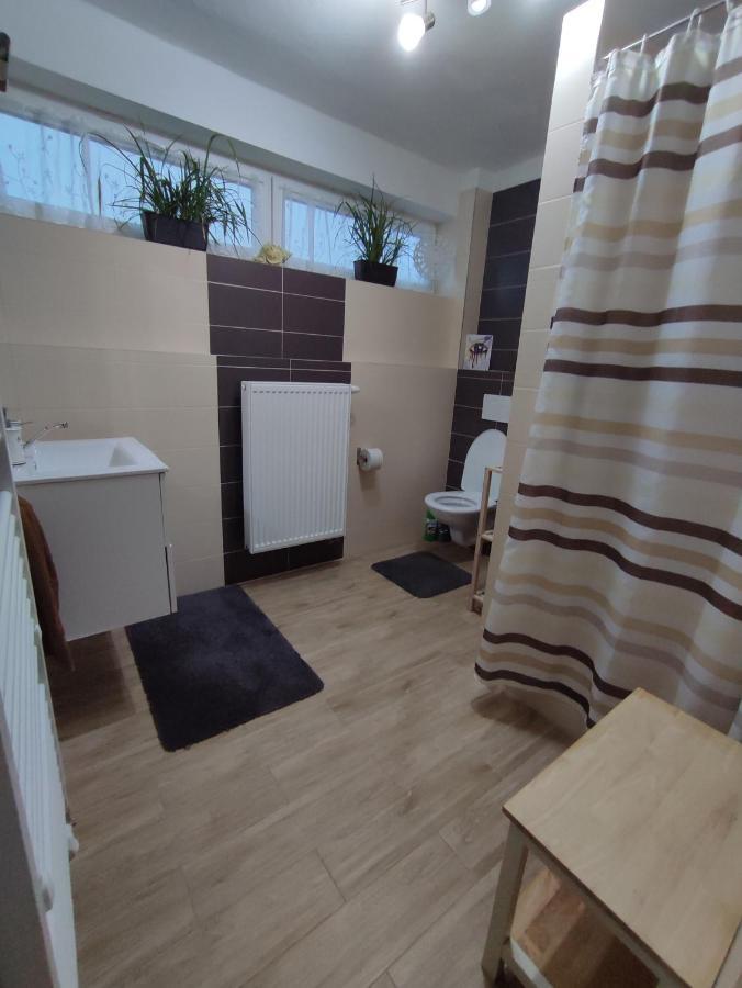 Apartman Jarka Bodice エクステリア 写真